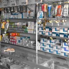 她辭職開了家五金店,承擔(dān)起了一家六口人的生活費(fèi),做得有聲有色